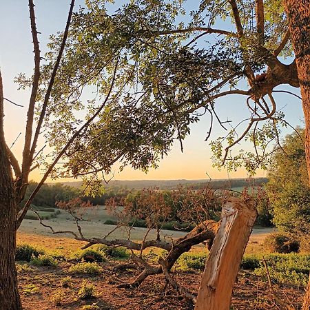 Gite Aux Bois D'En Temps Lunas (Dordogne) Quarto foto