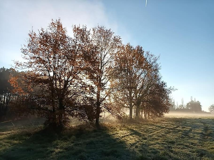 Gite Aux Bois D'En Temps Lunas (Dordogne) Exterior foto