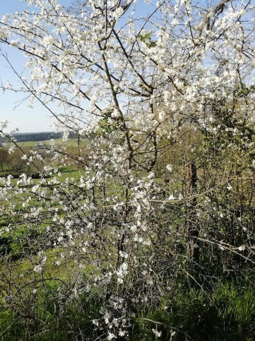 Gite Aux Bois D'En Temps Lunas (Dordogne) Exterior foto
