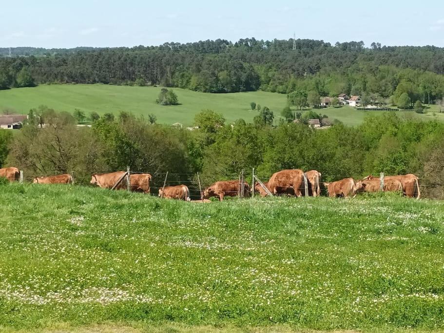 Gite Aux Bois D'En Temps Lunas (Dordogne) Exterior foto