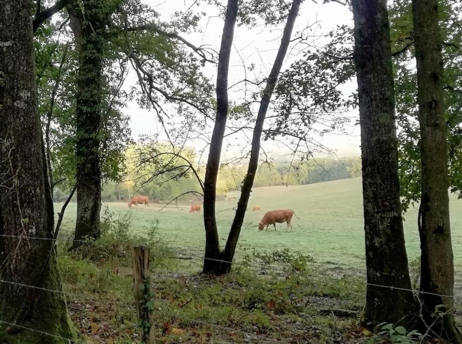 Gite Aux Bois D'En Temps Lunas (Dordogne) Exterior foto