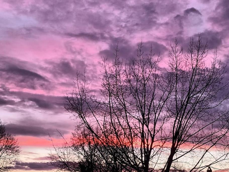 Gite Aux Bois D'En Temps Lunas (Dordogne) Exterior foto