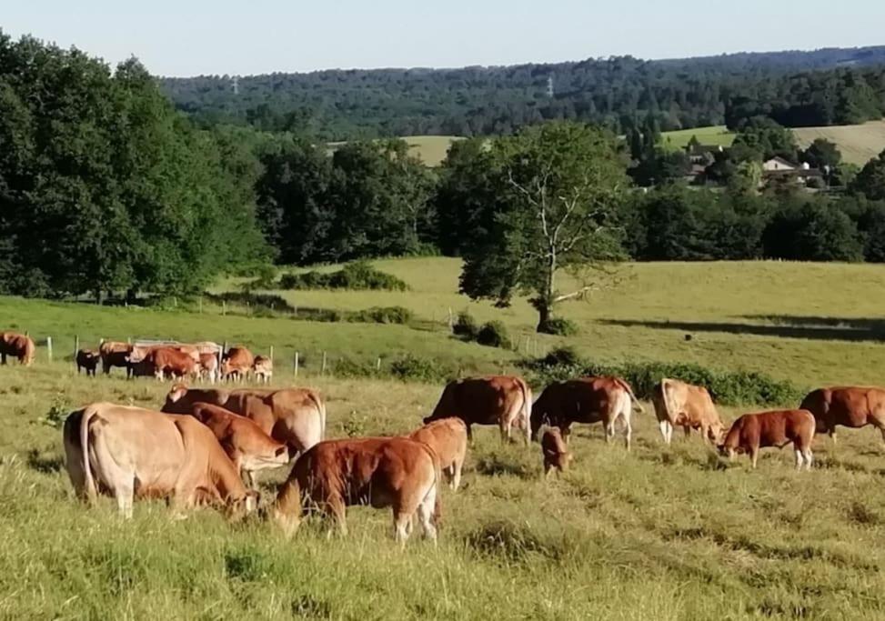 Gite Aux Bois D'En Temps Lunas (Dordogne) Exterior foto