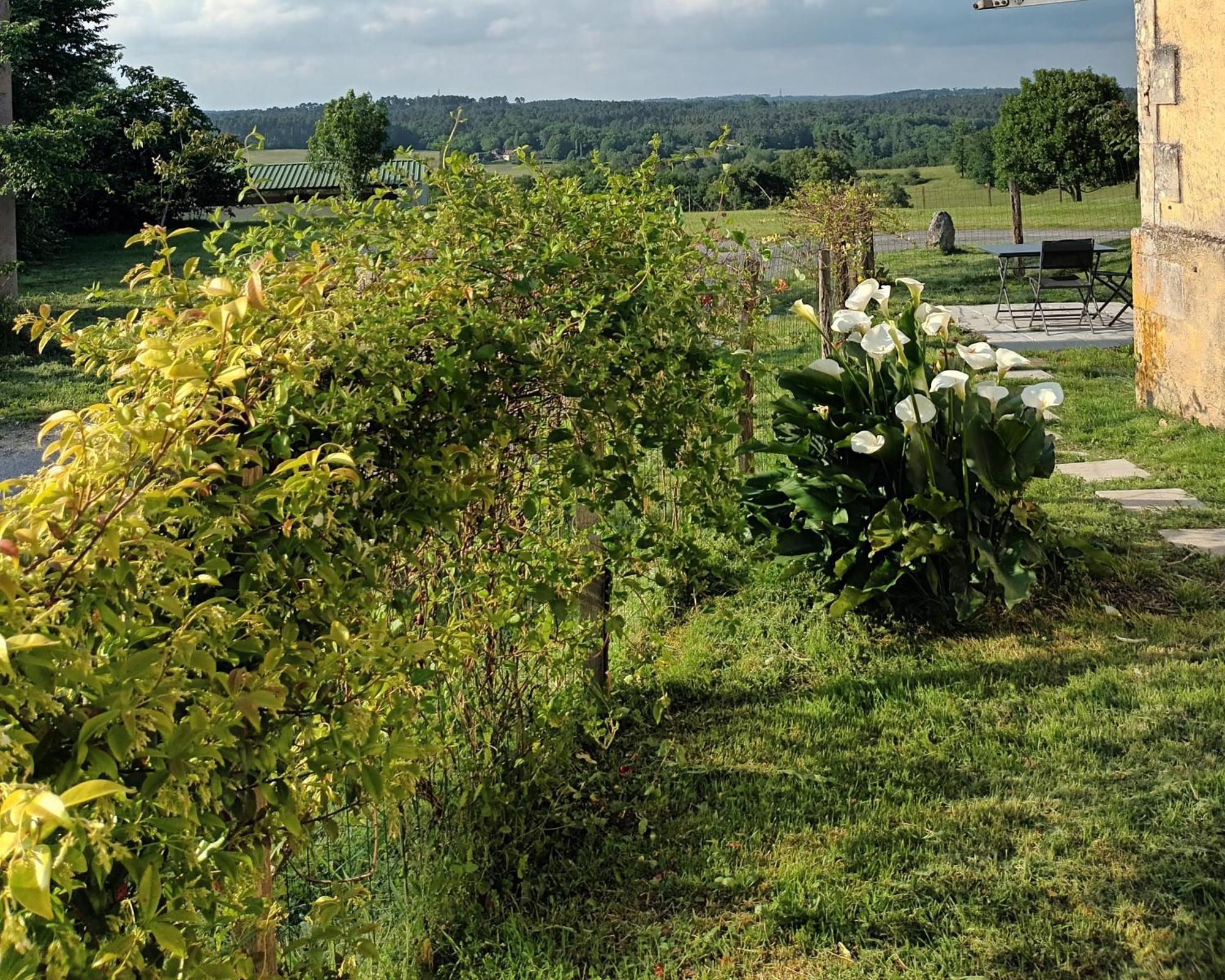 Gite Aux Bois D'En Temps Lunas (Dordogne) Quarto foto