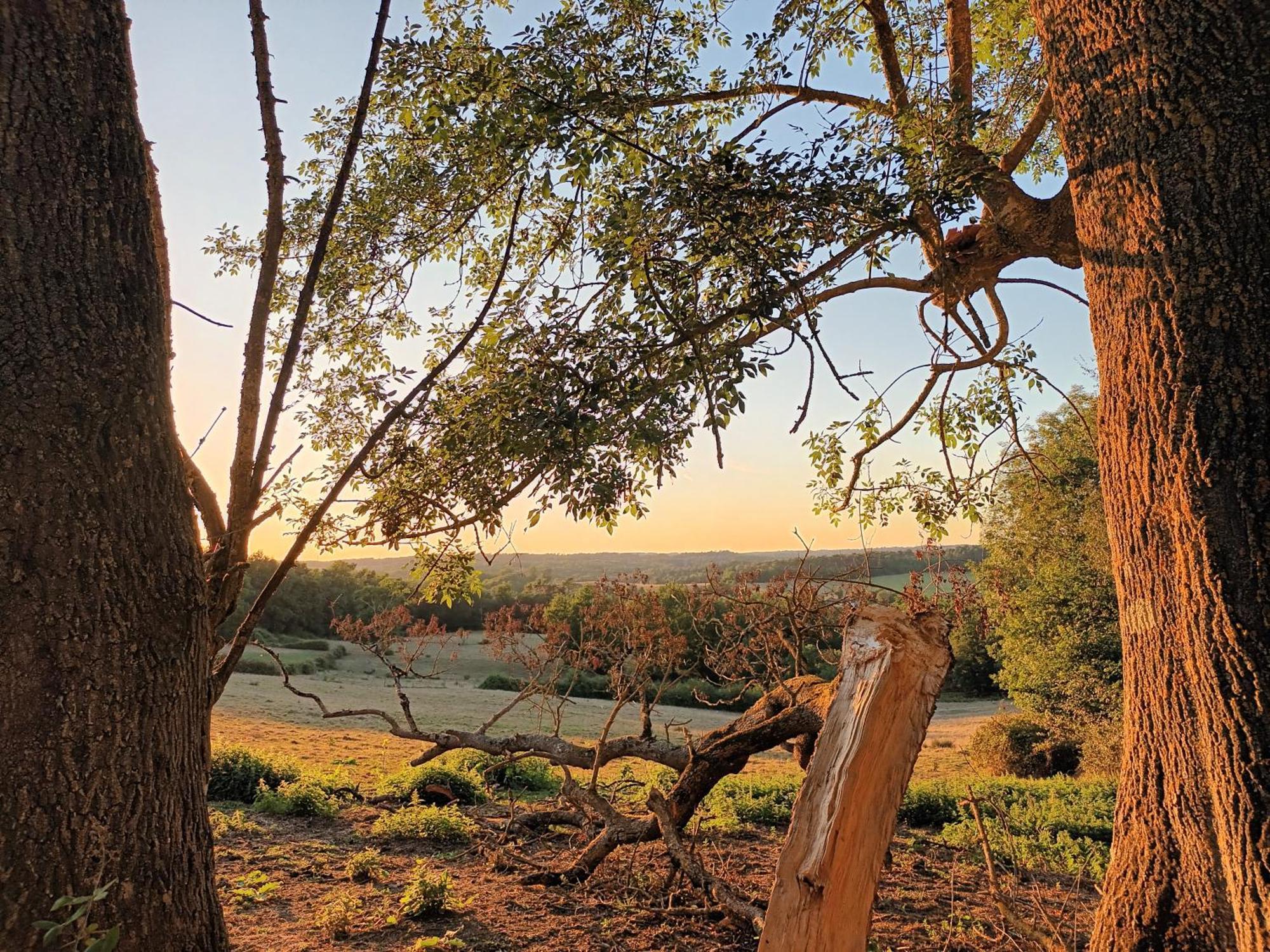 Gite Aux Bois D'En Temps Lunas (Dordogne) Quarto foto